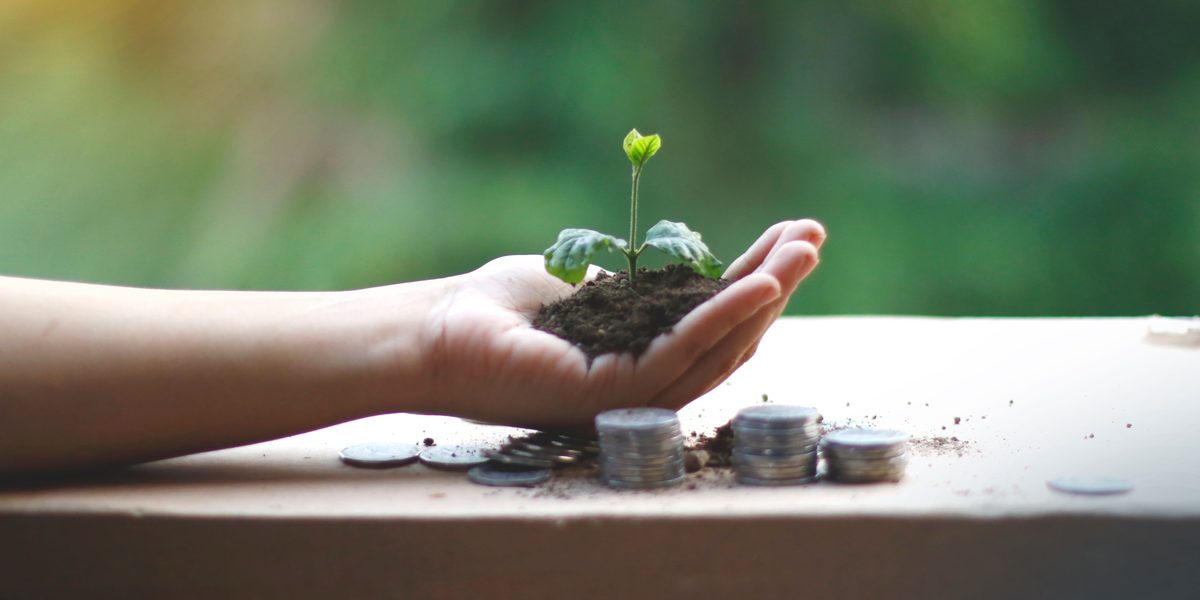 Piantina che cresce in una mano accanto a monete, simbolo di un investimento finanziato